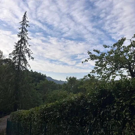 Appennino Nord Alfero