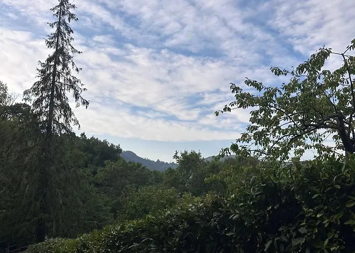 Appennino Nord Alfero